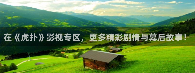 光棍电影1111伦理：在《虎扑》影视专区，更多精彩剧情与幕后故事！