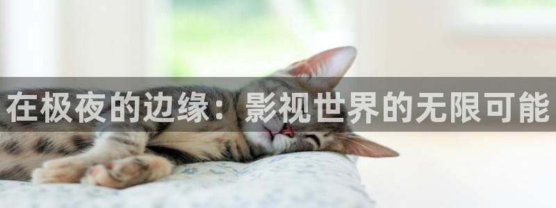 夜间光棍影院：在极夜的边缘：影视世界的无限可能