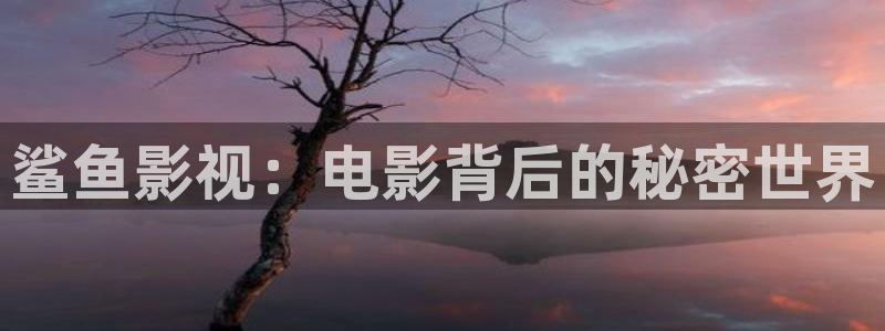 光棍影院电脑版在线观看：鲨鱼影视：电影背后的秘密世界