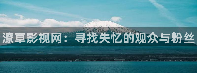 光棍影院?：潦草影视网：寻找失忆的观众与粉丝