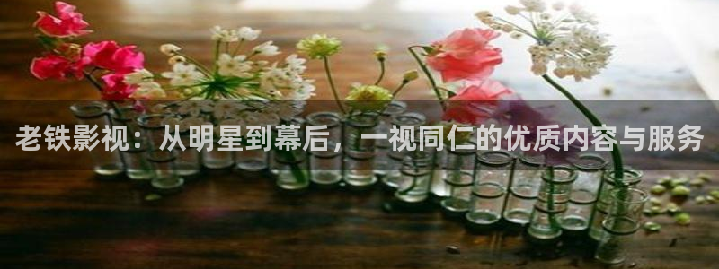 成年人光棍影院：老铁影视：从明星到幕后，一视同仁的优质内容与服务