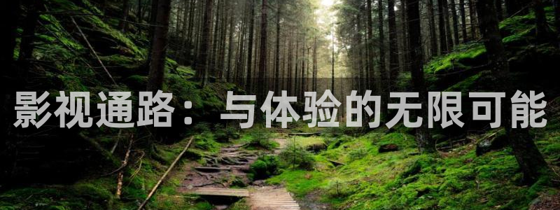 香港光棍影院：影视通路：与体验的无限可能