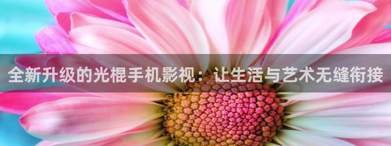 光棍影院手机在线观看电影：全新升级的光棍手机影视：让生活与艺术无缝衔接