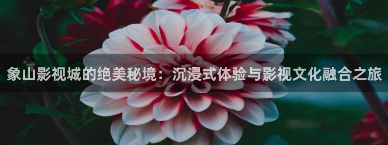 光棍影院手机在：象山影视城的绝美秘境：沉浸式体验与影视文化融合之旅