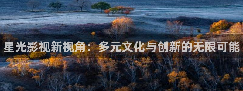第九超神达达兔光棍影院：星光影视新视角：多元文化与创新的无限可能