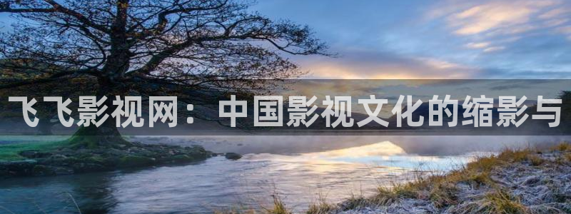 秋霞光棍电影院：飞飞影视网：中国影视文化的缩影与
