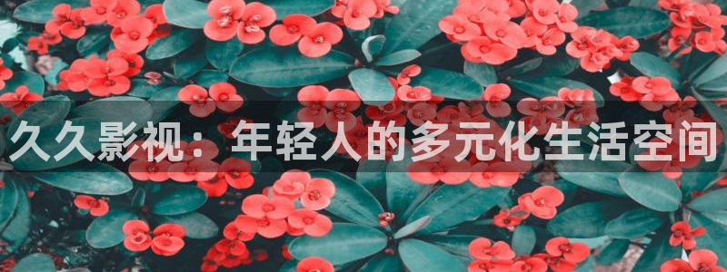 光棍影院2010l8最新版：久久影视：年轻人的多元化生活空间