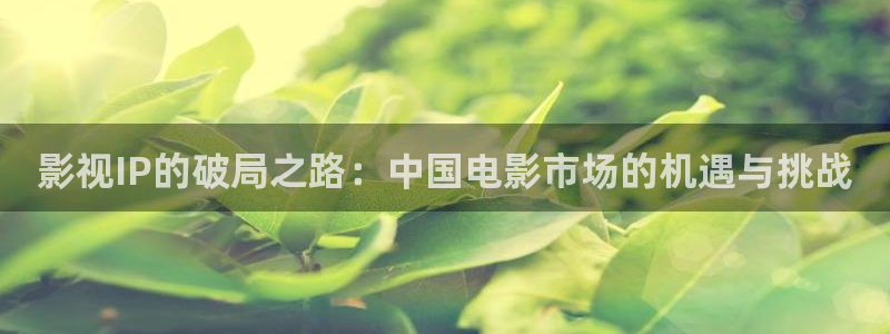 光棍影院在线视频观看：影视IP的破局之路：中国电影市场的机遇与挑战
